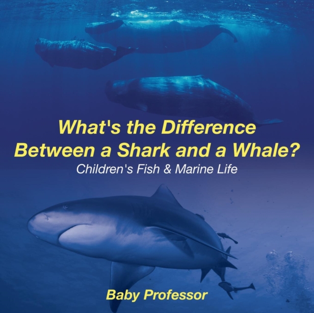 What's the Difference Between a Shark and a Whale? Children's Fish & Marine Life, Paperback / softback Book