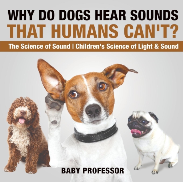 Why Do Dogs Hear Sounds That Humans Can't? - The Science of Sound Children's Science of Light & Sound, Paperback / softback Book