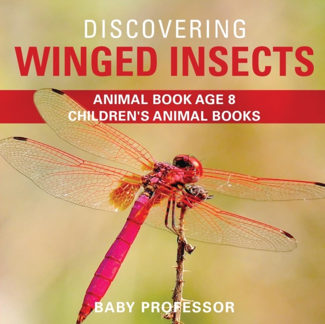 Discovering Winged Insects - Animal Book Age 8 Children's Animal Books, Paperback / softback Book