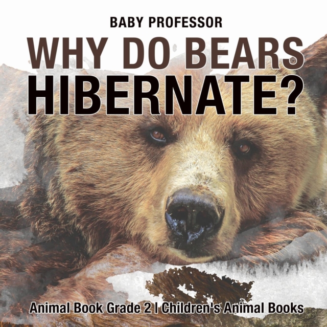 Why Do Bears Hibernate? Animal Book Grade 2 Children's Animal Books, Paperback / softback Book