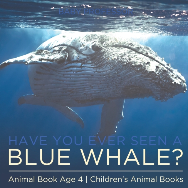 Have You Ever Seen A Blue Whale? Animal Book Age 4 Children's Animal Books, Paperback / softback Book
