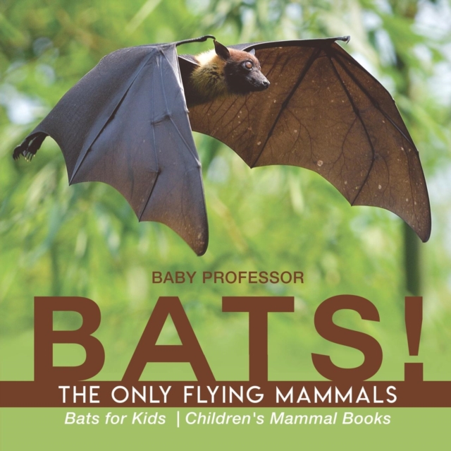 BATS! The Only Flying Mammals Bats for Kids Children's Mammal Books, Paperback / softback Book