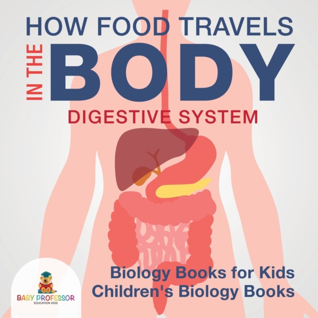 How Food Travels in the Body, Paperback / softback Book