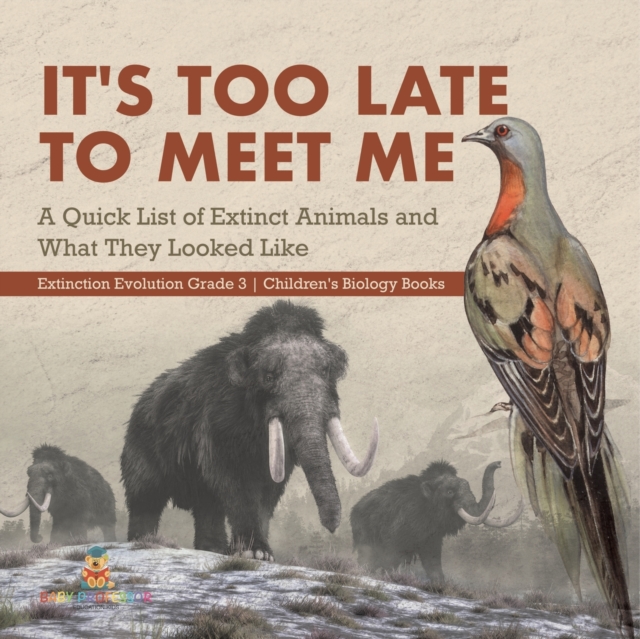It's Too Late to Meet Me : A Quick List of Extinct Animals and What They Looked Like Extinction Evolution Grade 3 Children's Biology Books, Paperback / softback Book