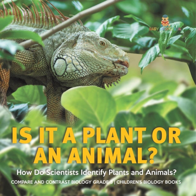 Is It a Plant or an Animal? How Do Scientists Identify Plants and Animals? Compare and Contrast Biology Grade 3 Children's Biology Books, Paperback / softback Book