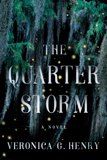 The Quarter Storm : A Novel, Paperback / softback Book
