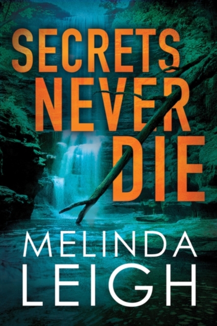 Secrets Never Die, Paperback / softback Book