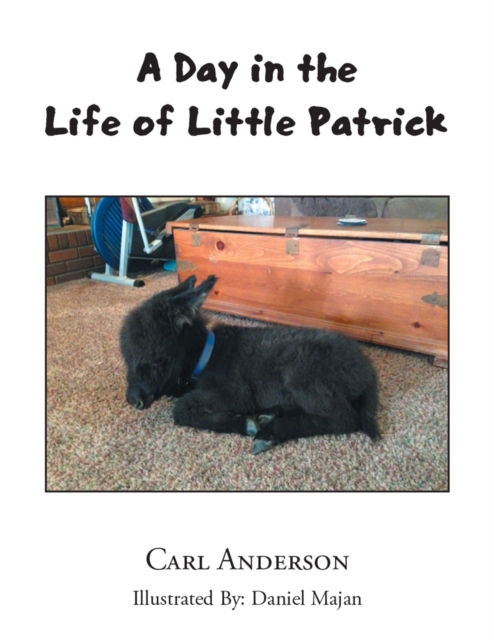 A Day in the Life of Little Patrick, EPUB eBook