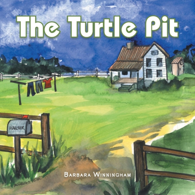 The Turtle Pit, Paperback / softback Book