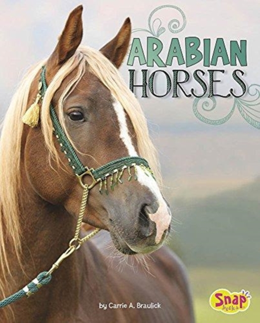 Arabian Horses, Paperback / softback Book