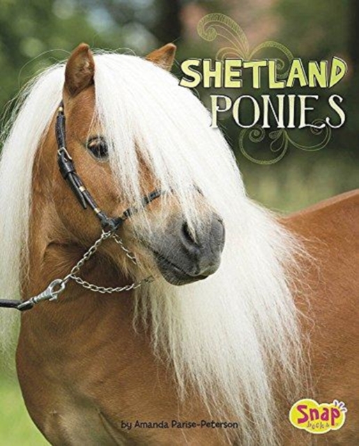 Shetland Ponies, Paperback / softback Book