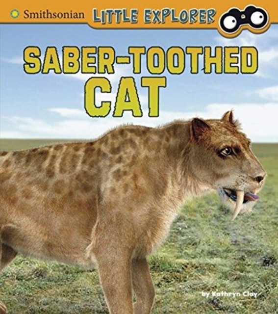 Saber-Toothed Cat (Little Paleontologist), Paperback / softback Book