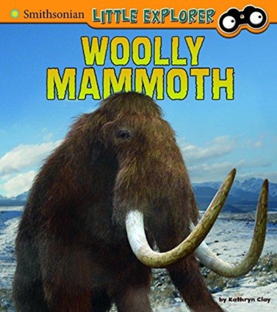 Woolly Mammoth (Little Paleontologist), Paperback / softback Book