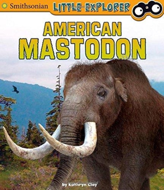 American Mastodon (Little Paleontologist), Paperback / softback Book