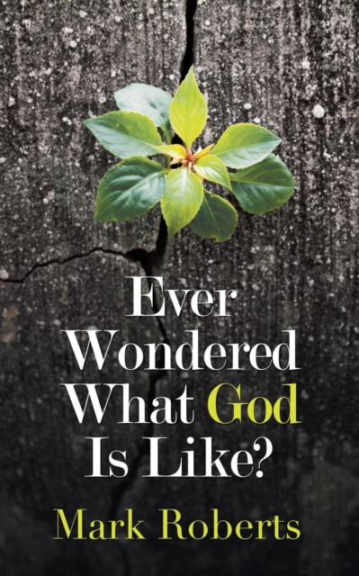 Ever Wondered What God Is Like?, Paperback / softback Book