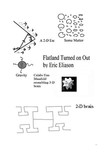 Flatland Turned On Out, Paperback / softback Book