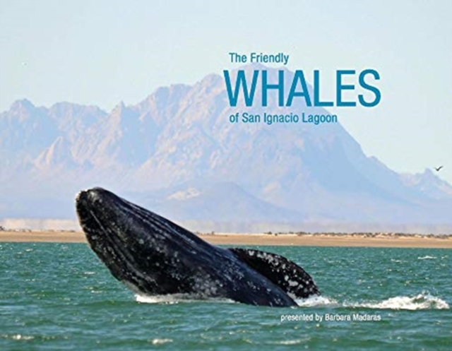 The Friendly Whales of San Ignacio Lagoon, Paperback / softback Book