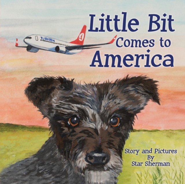 Little Bit Comes to America, Paperback / softback Book