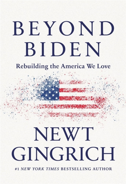 Beyond Biden : Rebuilding the America We Love, Paperback / softback Book