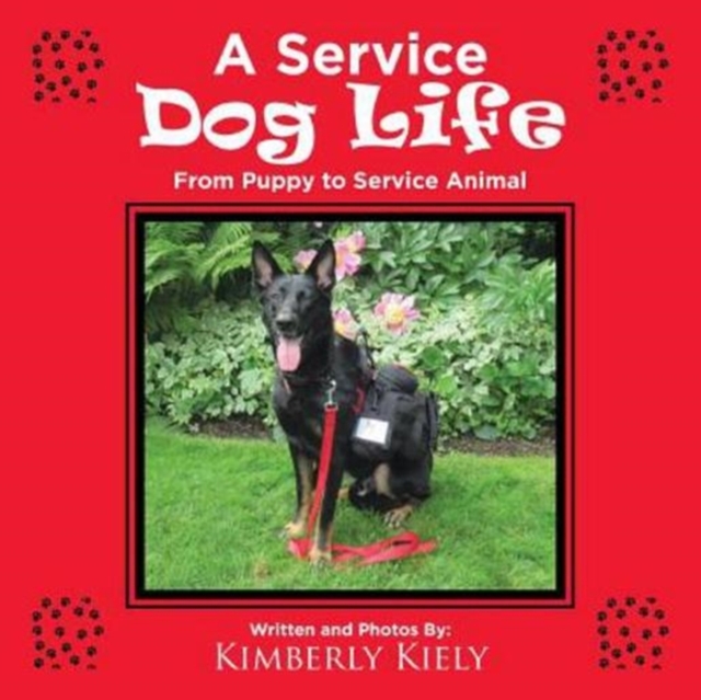 A Service Dog Life : From Puppy to Service Animal, Paperback / softback Book