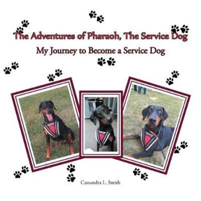 The Adventures of Pharaoh, the Service Dog : My Journey to Become a Service Dog, Paperback / softback Book