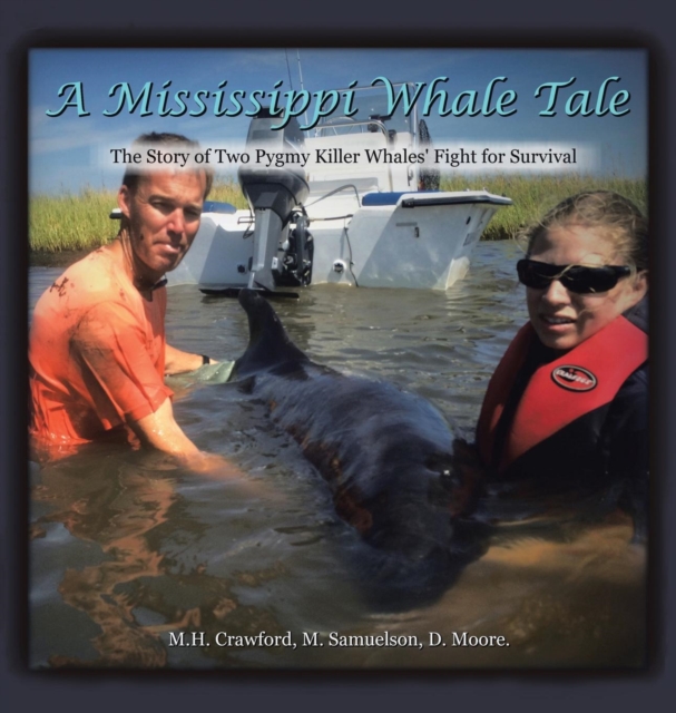 A Mississippi Whale Tale : The Story of Two Pygmy Killer Whales' Fight for Survival, Hardback Book
