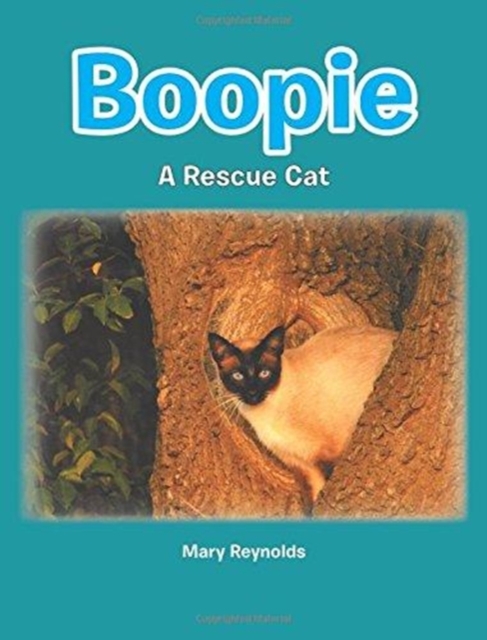 Boopie : A Rescue Cat, Paperback / softback Book