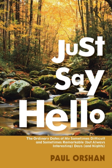 Just Say Hello : The Ordinary Dates of My Sometimes Difficult and Sometimes Remarkable (But Always Interesting) Days (and Nights), Paperback / softback Book