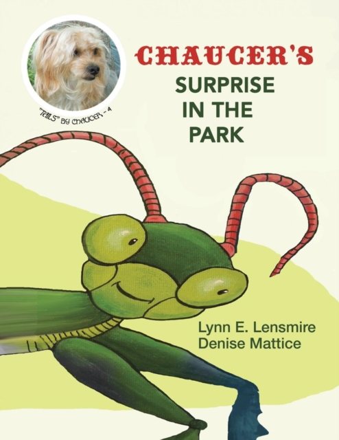 Chaucer's Surprise in the Park, Paperback / softback Book