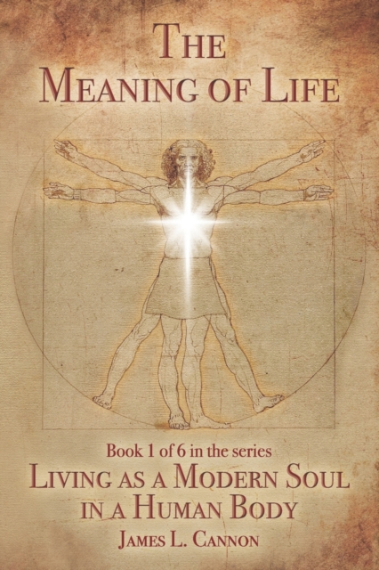The Meaning of Life : Purpose and Mission of the Human Soul, Paperback / softback Book