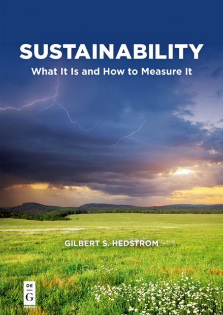 Sustainability : What It Is and How to Measure It, EPUB eBook