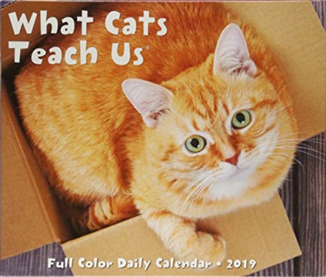 What Cats Teach Us 2019 Box Calendar, Calendar Book