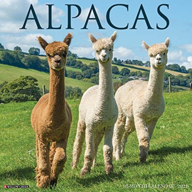 Alpacas 2021 Wall Calendar, Calendar Book