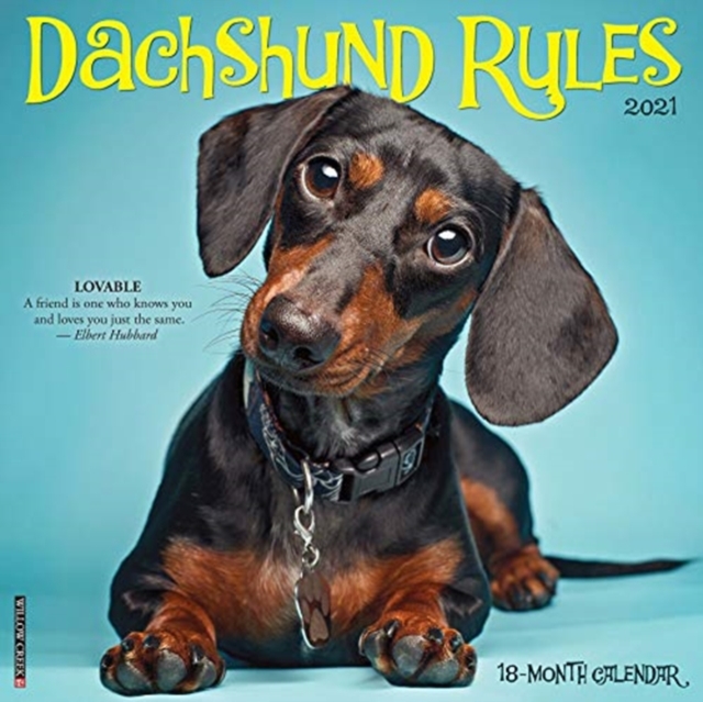 Dachshund Rules 2021 Wall Calendar (Dog Breed Calendar), Calendar Book