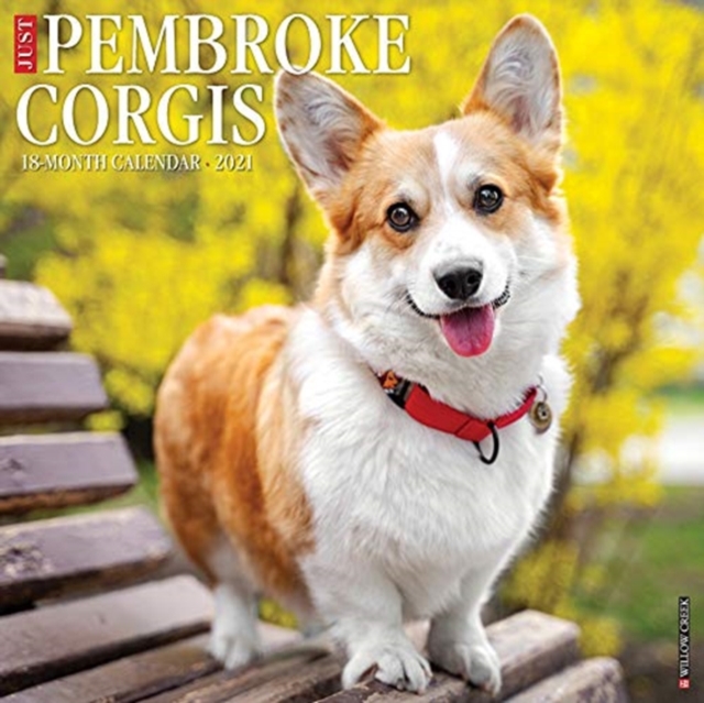 Just Pembroke Corgis 2021 Wall Calendar (Dog Breed Calendar), Calendar Book