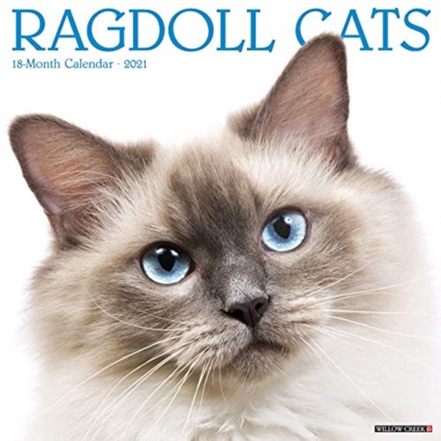 Ragdoll Cats 2021 Wall Calendar, Calendar Book