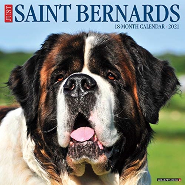 Just Saint Bernards 2021 Wall Calendar (Dog Breed Calendar), Calendar Book