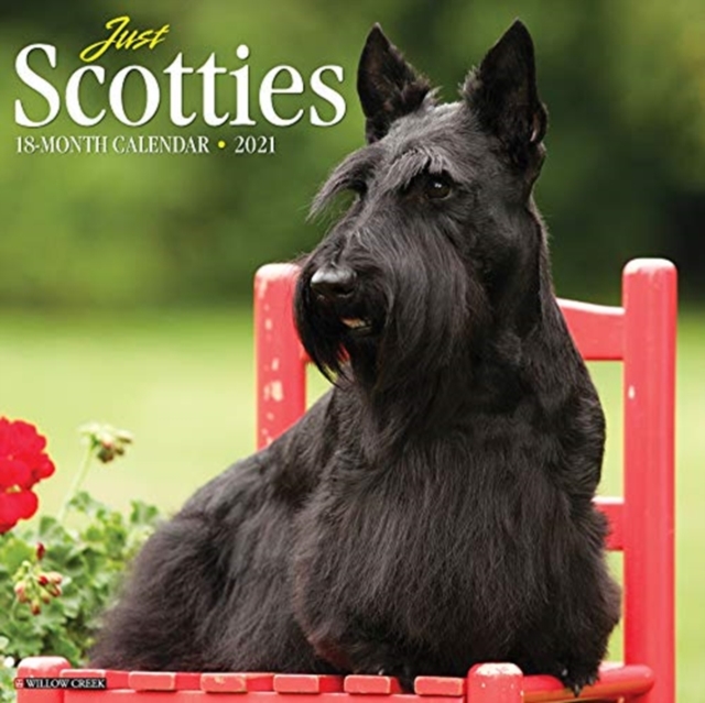 Just Scotties 2021 Wall Calendar (Dog Breed Calendar), Calendar Book