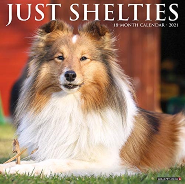 Just Shelties 2021 Wall Calendar (Dog Breed Calendar), Calendar Book