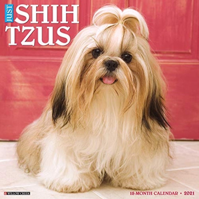 Just Shih Tzus 2021 Wall Calendar (Dog Breed Calendar), Calendar Book