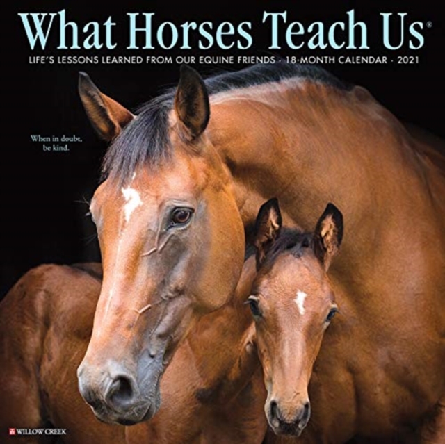 What Horses Teach Us 2021 Wall Calendar, Calendar Book