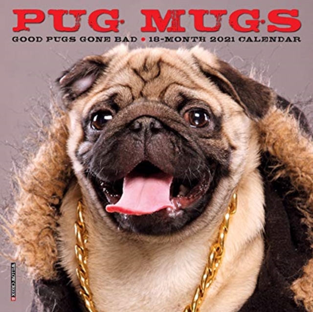Pug Mugs 2021 Mini Wall Calendar (Dog Breed Calendar), Calendar Book
