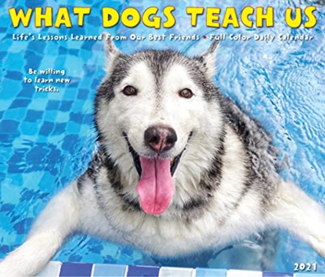 What Dogs Teach Us 2021 Box Calendar, Calendar Book