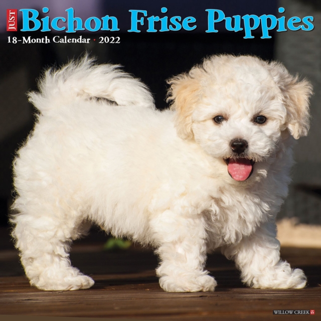 Just Bichon Frise Puppies 2022 Wall Calendar (Dog Breed), Calendar Book