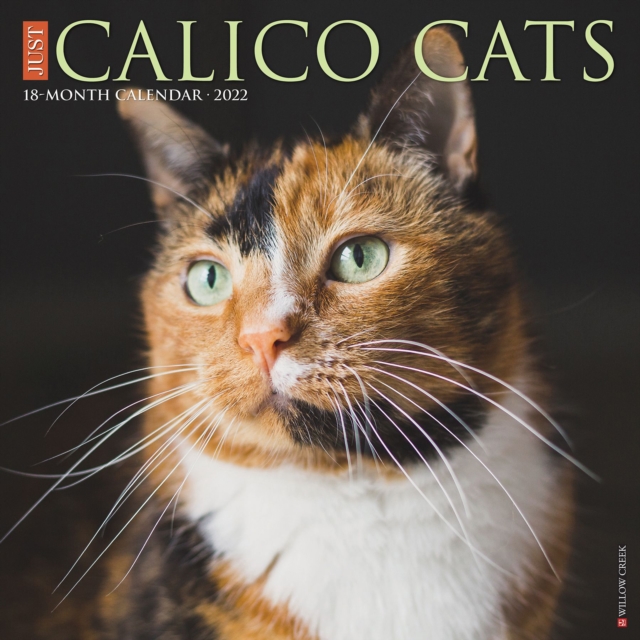 Just Calico Cats 2022 Wall Calendar (Cat Breed), Calendar Book