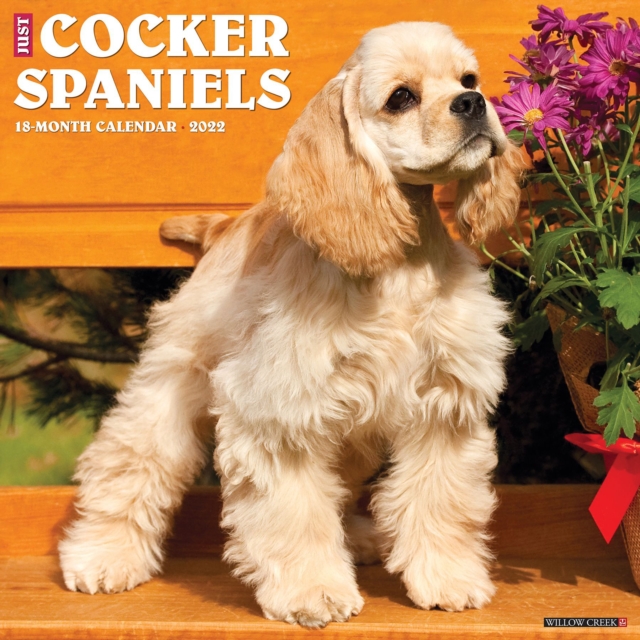 Just Cocker Spaniels 2022 Wall Calendar (Dog Breed), Calendar Book