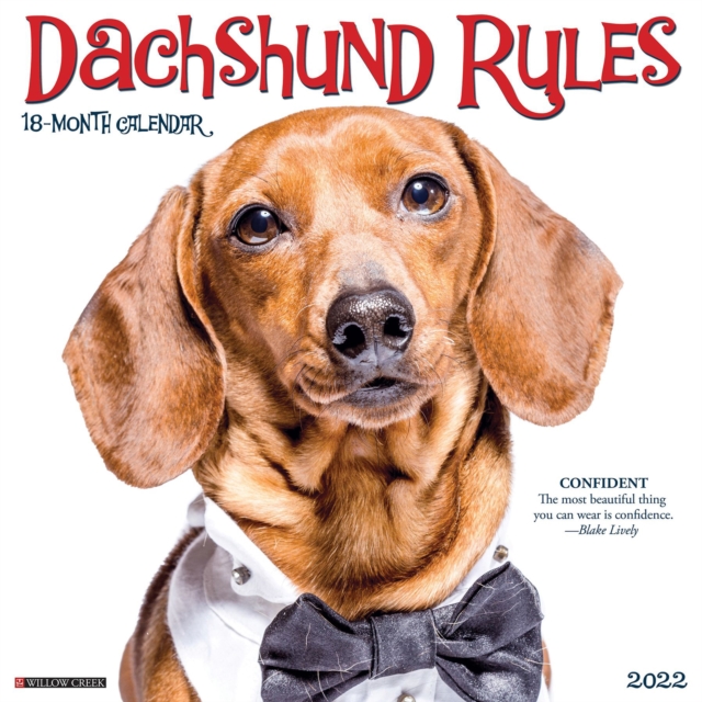 Dachshund Rules 2022 Wall Calendar (Dog Breed), Calendar Book