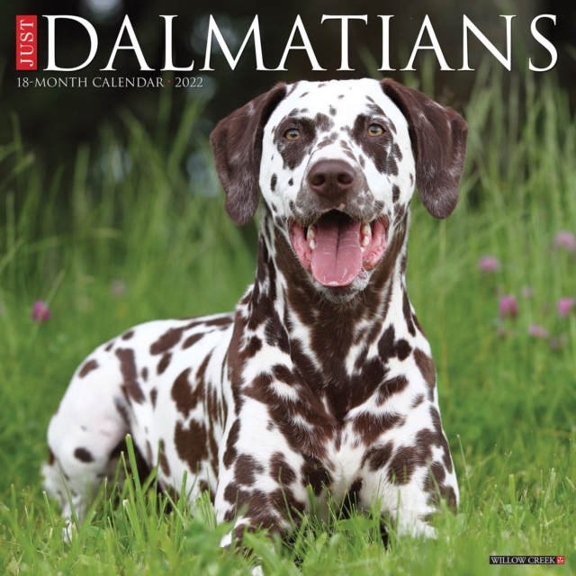 Just Dalmatians 2022 Wall Calendar (Dog Breed), Calendar Book