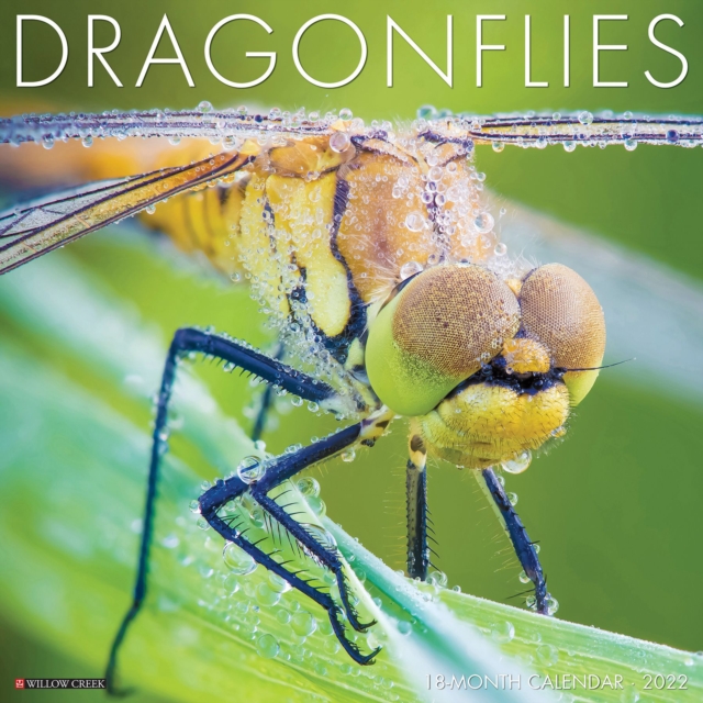 Dragonflies 2022 Wall Calendar, Calendar Book