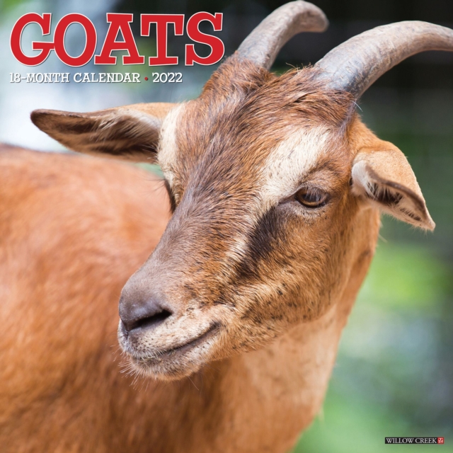 Goats 2022 Wall Calendar, Calendar Book